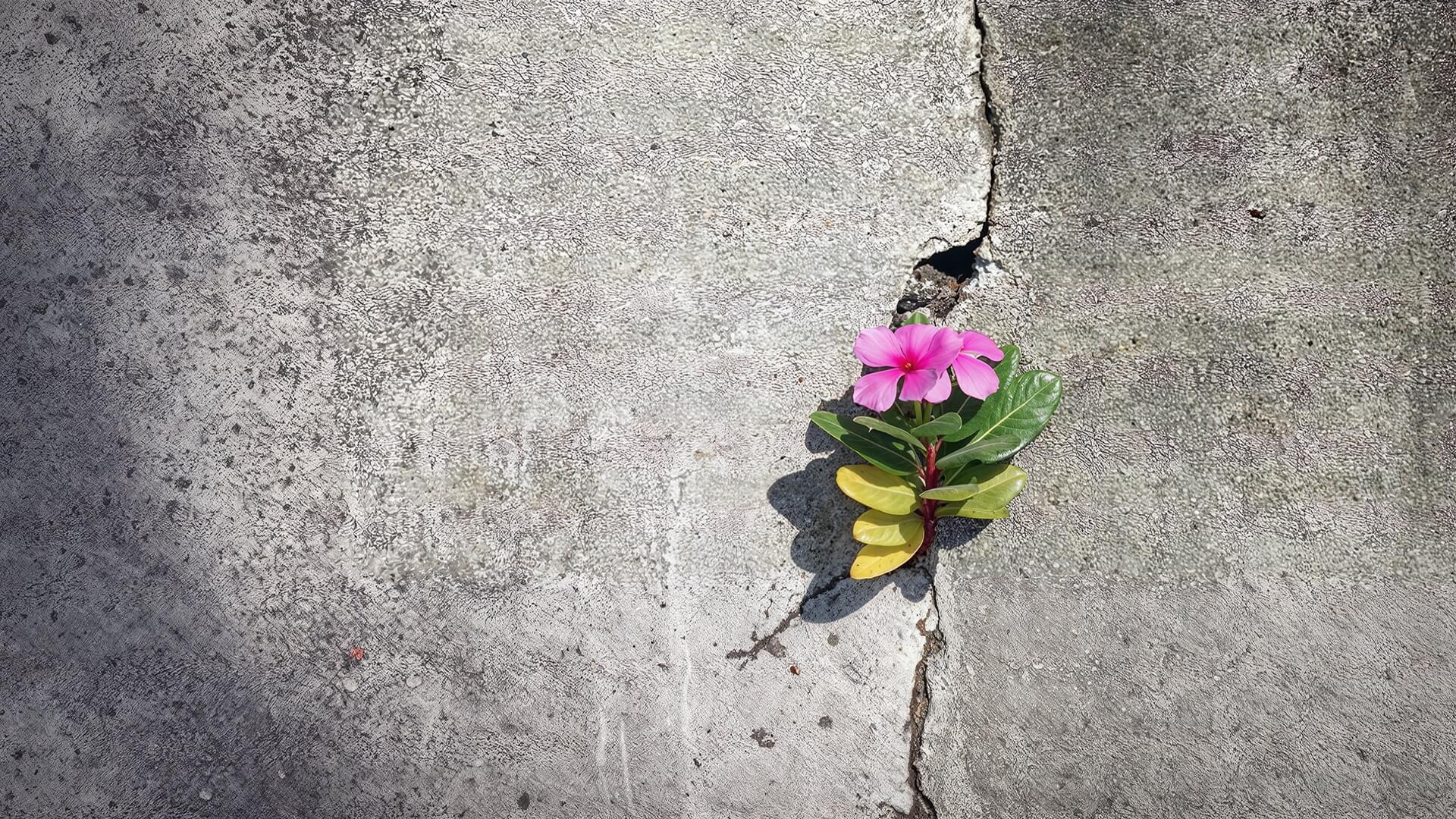 Growth no impossible